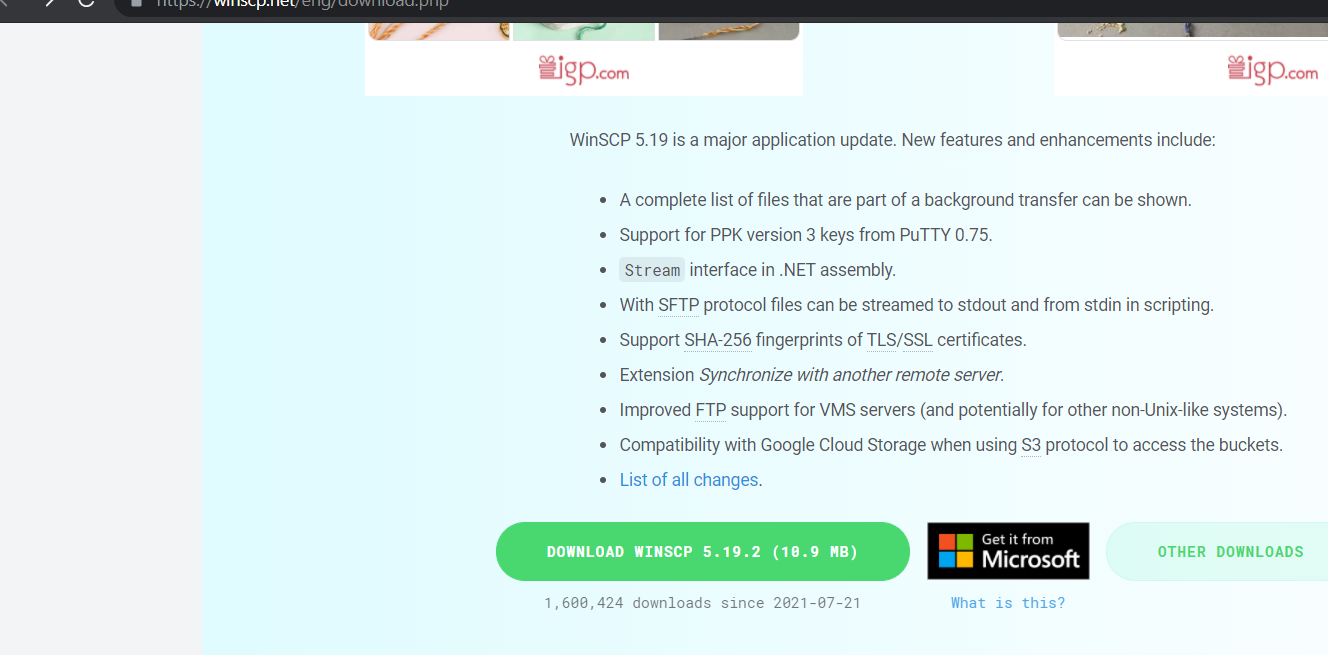 Multi language installation package winscp for windows winscp script ignore call errors