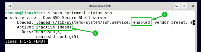 Enable SSH Server On Debian 11