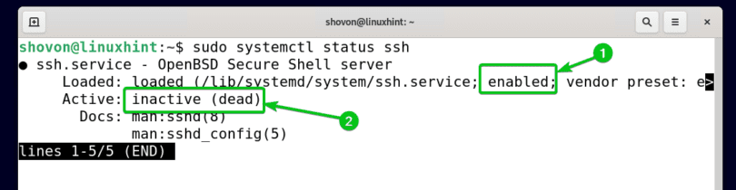 debian enable ssh
