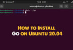 How to Install Go on Ubuntu 20.04