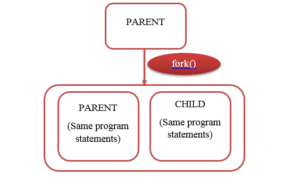 fork call in linux