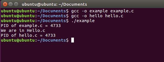 Системные вызовы linux. Exec Linux. Системное программирование Linux книги. Режима exec. Pid example.