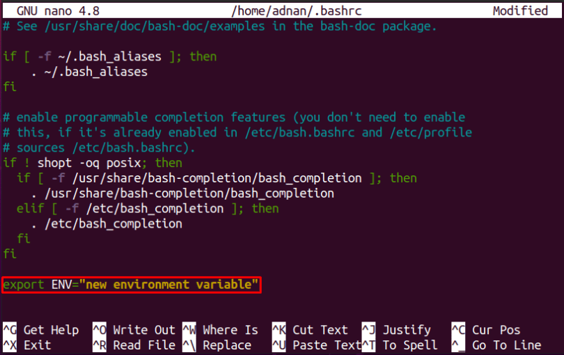 What are Bash Environment Variables