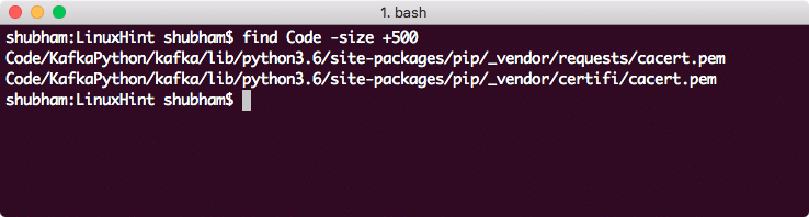 Bash find file