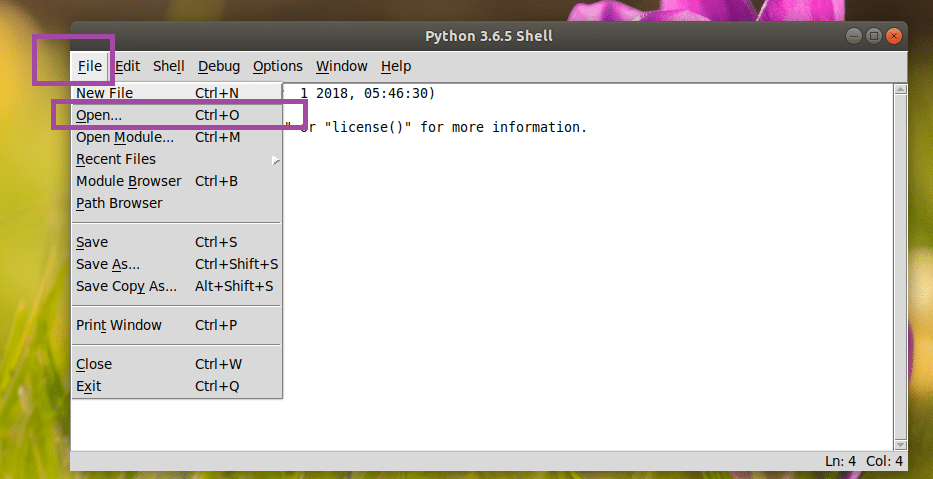 python download linux