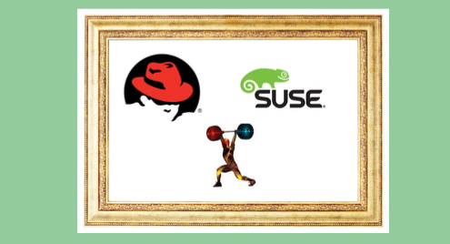 difference between suse and redhat