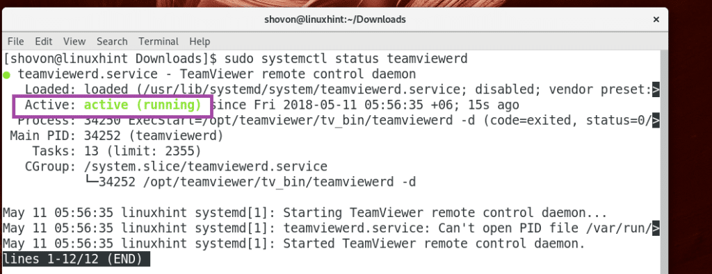 teamviewer arch linux