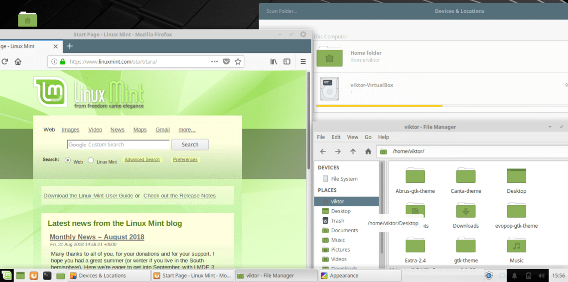 Тема минт. Линукс минт темы. Лучшая тема Linux Mint. Темы для Linux Mint 21.1. Color Linux Theme.