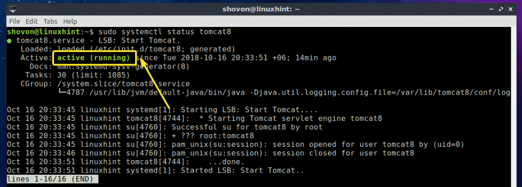 install apache tomcat ubuntu 18