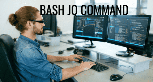 Bash Jq Command