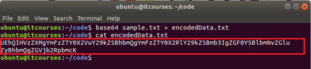 Bash Base64 Encode And Decode Linux Hint