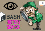 bash history search