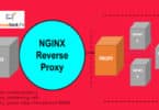 NGINX REVERSE PROXY