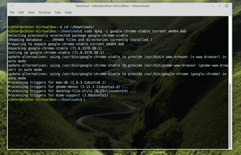 how to install google chrome on linux mint