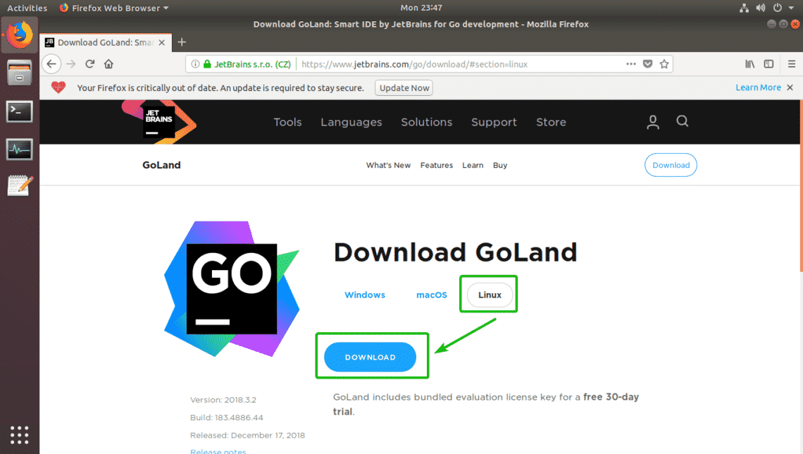 Install GoLand on Linux