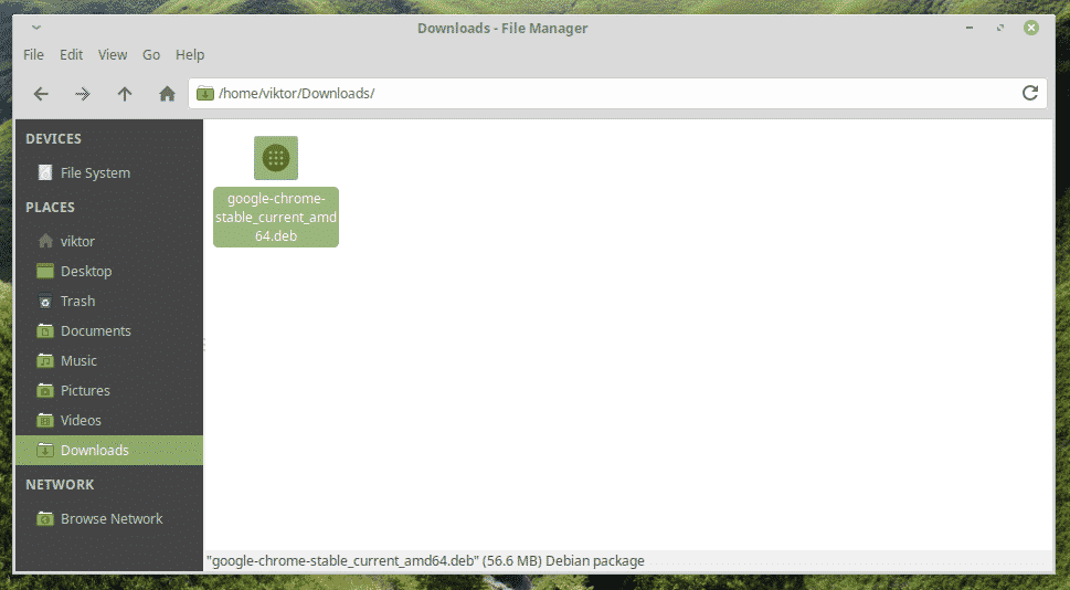 install google chrome on linux mint