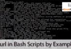 Curl in Bash Scripts by Example