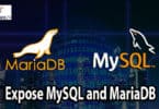 Expose MySQL and MariaDB