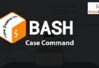 BASH Case Command