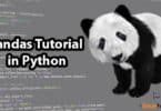 Pandas Tutorial in Python