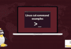 Linux cut command examples