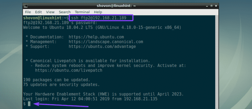simple ftp server ubuntu