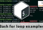 Bash for loop examples