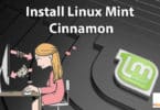 Install Linux Mint Cinnamon