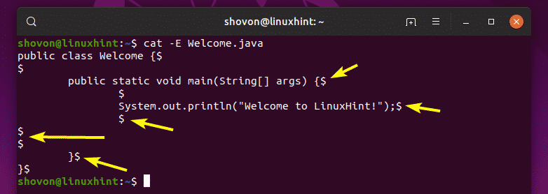 How to Use Linux Cat Command