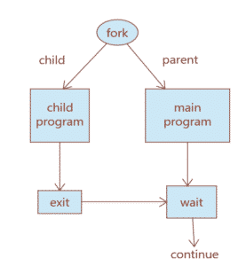 Fork System Call In C – Linux Hint | DevsDay.ru