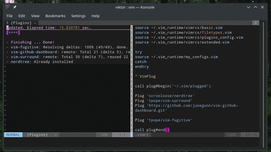 vim wont recognize plugin in vimr