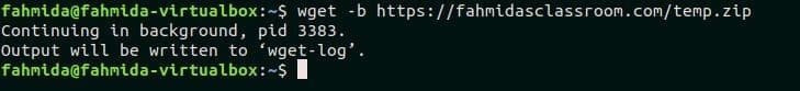 bash wget command not found