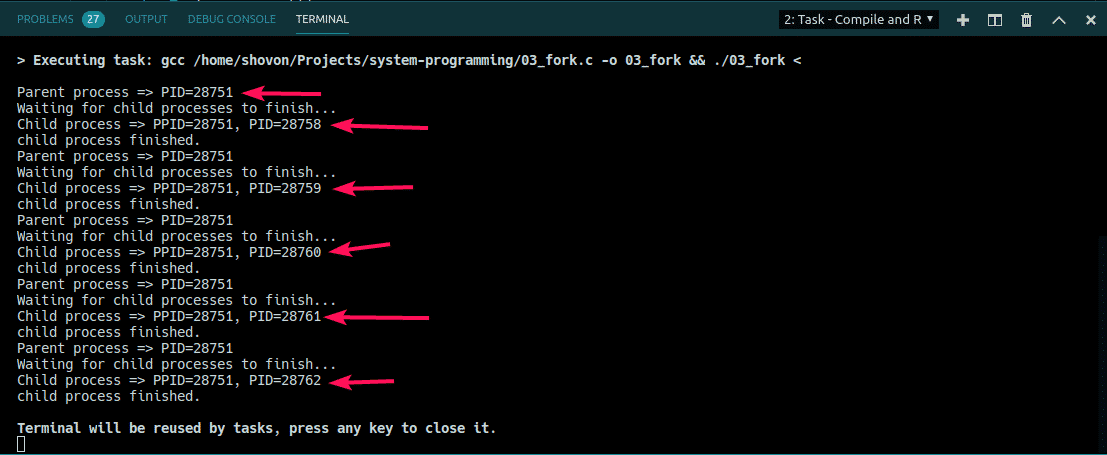 Process pid. Системный вызов fork. Fork Programming.