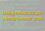 Using nmap scripts: Nmap banner grab