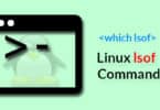 Linux lsof Command