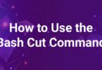 How to Use the Bash Cut Command