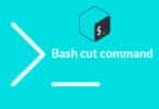 bash cut command