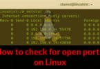 How to check for open ports on Linux