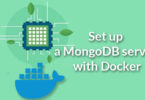 Set up a MongoDB server with Docker