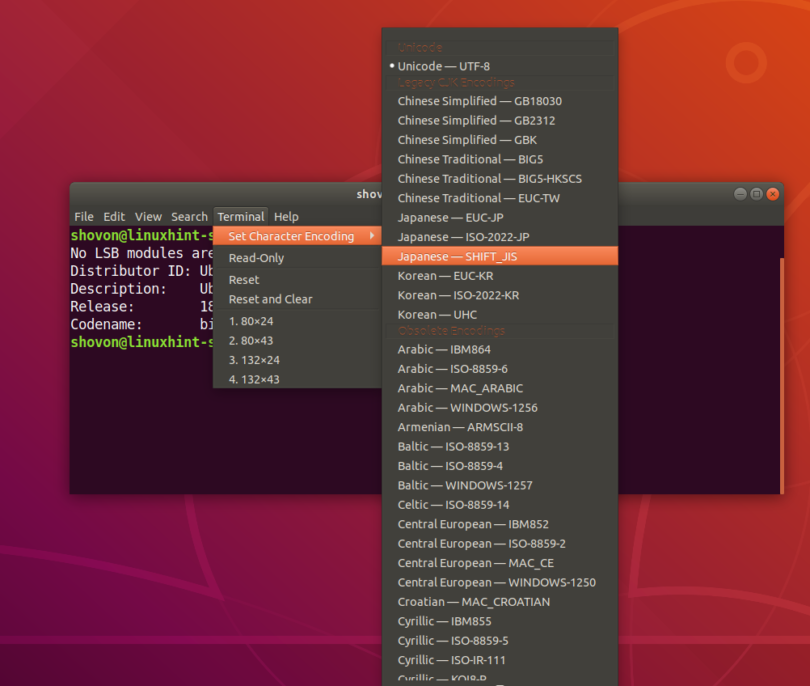 How to Use GNOME Terminal App