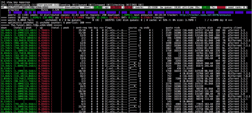 fastest torrent client linux