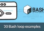 30 Bash loop examples