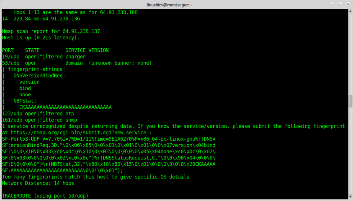 Nmap scan specific udp port