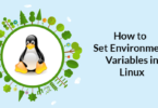 How to Set Environment Variables in Linux