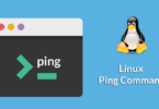 Linux Ping Command