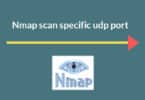 Nmap scan specific udp port