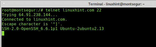 Telnet Server With Port Number