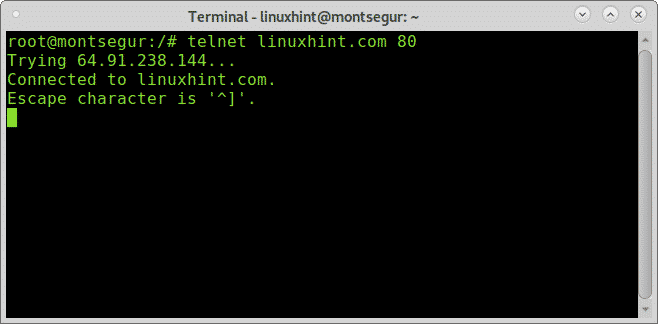 Telnet a una porta specifica per scopi di test-Linux Hint | Radio ...