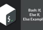 Bash: If, Else If, Else Examples