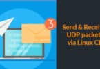 Send and Receive UDP packets via Linux CLI